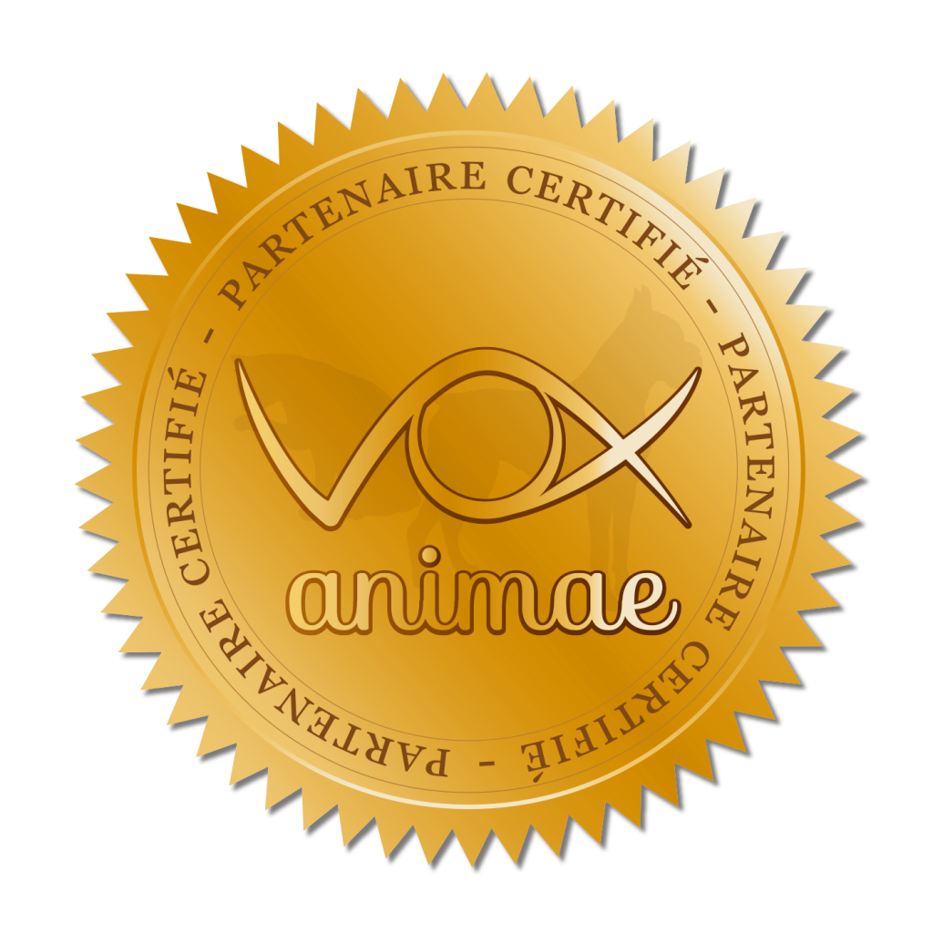tous à poils, cat sitter, dog walker, education canine et feline, vox animae